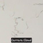 Carrara Cloud