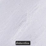 Antacrtica